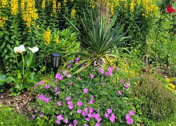 Le Soleil Couchant/chambre D'hotes 3* Givet